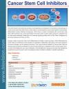 Cancer Stem Cell Inhibitors