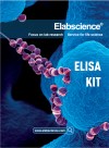 Top-Selling Kits