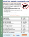 Animal Origin Free (AOF) Recombinant Proteins