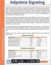 Adipokine Signaling