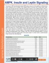 AMPK, Insulin and Leptin Signaling