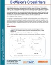 Biovision's Crosslinkers