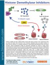Histone Demethylase inhibitors