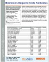 Epigenetic Code Antibodies