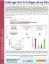 Hydroxproline Assay Kit (Colorimetric)