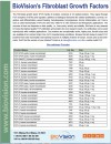 Fibroblast Growth Factors
