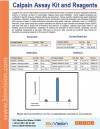 Calpain Assay Kit and Reagents