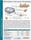 EZH2 Inhibitors: Key Cancer Therapeutics