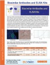 Biosimilar Antibodies and Elisa Kits