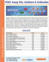 HDAC Assay Kits, Inhibitors, & Antibodies