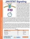 JAK/STAT Signaling