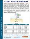 c-Met Kinase Inhibitors