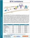 BTK Inhibitors