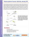 Transcription Factor Activity Assay Kit
