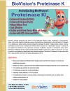 Proteinase K