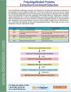 Polyubiquitinated Proteins Extraction/Enrichment/Detection