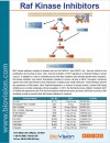Raf Kinase Inhibitors