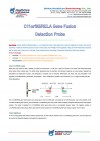 C11orf95/RELA Gene Fusion Detection Probe