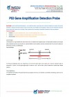 P53 gene amplification detection probe