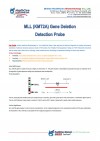 MLL (KMT2A) gene detection probe
