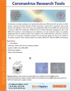 Coronavirus Research Tools