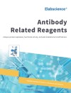 Antibody Related Reagents