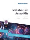 Elabscience Metabolism Assay Kits