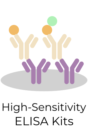 ELK High-Sensitivity ELISA Kits