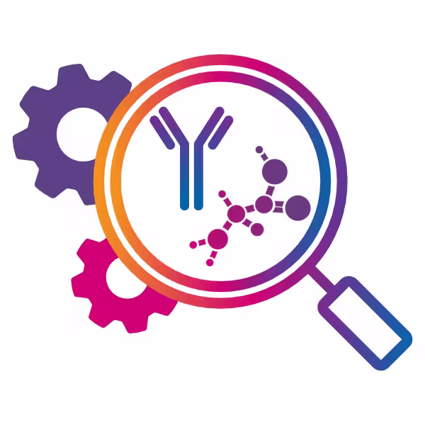 Antibody and Protein Customisation
