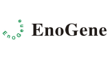 Enogene Biotech