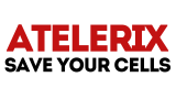 Atelerix