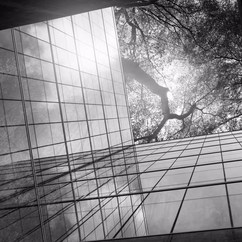 Sustainable by Choice