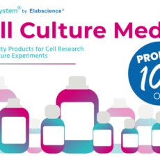 10% off Cell Culture Media