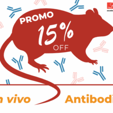 15% off in vivo Antibodies