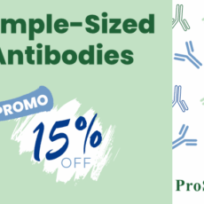 15% off Sample-Sized Antibodies