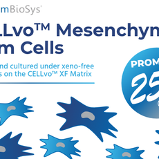 25% off CELLvo™ Mesenchymal Stem Cells