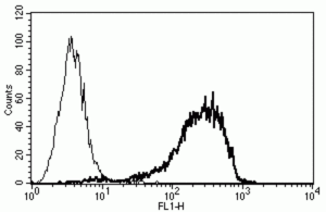 Typical staining patterns using clone B-A38 with FITC conjugation of a RPMI8226 cell line.