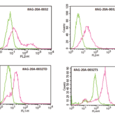 Flow Cytometry-Competent  Human ACE2 Monoclonal Antibodies