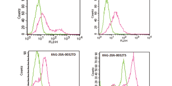Flow Cytometry-Competent  Human ACE2 Monoclonal Antibodies