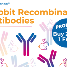 Buy 2 Get 1 Free – Rabbit Recombinant Antibodies!