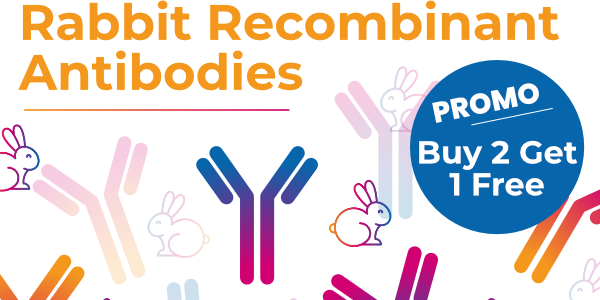 Buy 2 Get 1 Free – Rabbit Recombinant Antibodies!