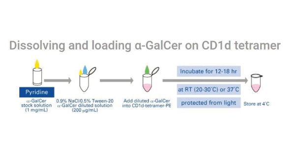 CD1d Tetramers for Monitoring Invariant Natural Killer T (iNKT) cells