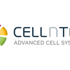 2D Differentiation of Epithelial Cells, Fibroblasts, and Melanocytes With Ease and Accuracy