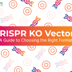 Find the right CRISPR vector format