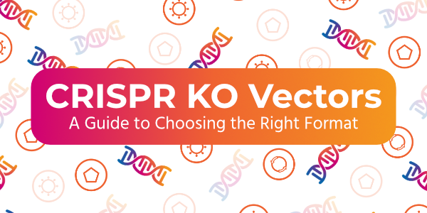 Find the right CRISPR vector format