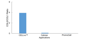 Col2/Col1 ratio of commercially available chondrocytes. Only CELLvo™ Primary Chondrocytes from StemBioSys® have a high Col2/Col1 ratio, like that observed in cartilage. (Data available at StemBioSys).