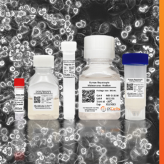 40% off Cryoplatable Primary Human Hepatocytes