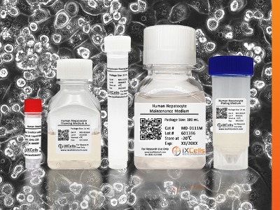 40% off Cryoplatable Primary Human Hepatocytes 40% off Cryoplatable Primary Human Hepatocytes