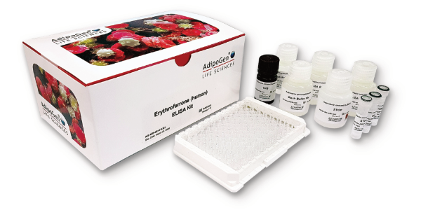 Erythroferrone (human) ELISA Kit – The only Specific & Sensitive Assay on the Market!