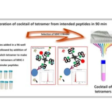 Is your drug candidate able to reverse the T Cell Exhaustion-like state in MBL’s in vitro functional screening assay?